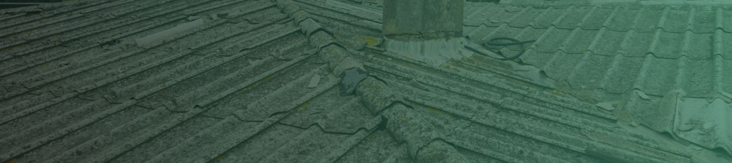 What Our Client Say Feature Image